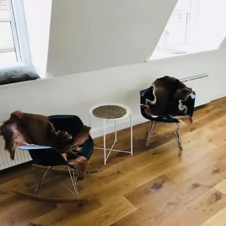 Luxury In The Heart Of Apartmán Kodaň