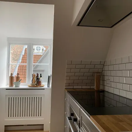 Apartment Luxury In The Heart Of Copenhagen